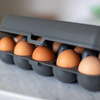 Pojemnik na jajka Koziol EGGS TO GO – szary, na 10 jajek