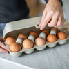 egg box EGGS TO GO