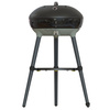 Grill Carri Chef 50 Czarny 50mbar 3,7W Zapalnik Piezoelektryczny